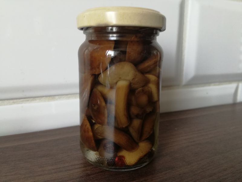 Marynowane podgrzybki