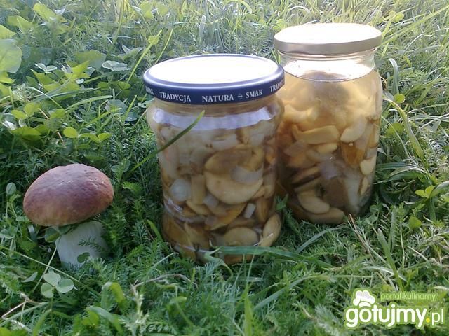 Marynowane podgrzybki wg Katarzyna J. Marynowane podgrzybki wg Katarzyna J.