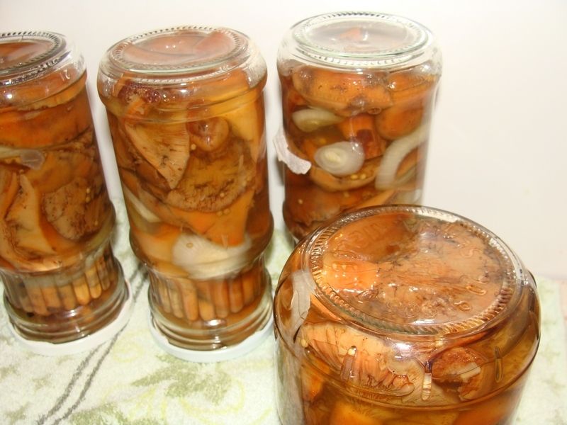 Marynowane rydze  Marynowane rydze