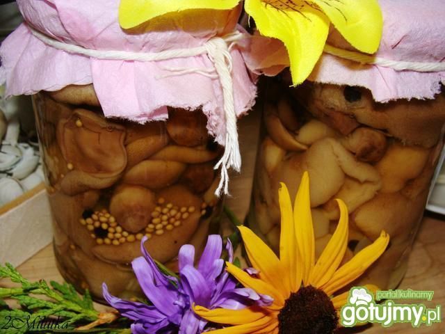 Marynowane w occie maślaczki