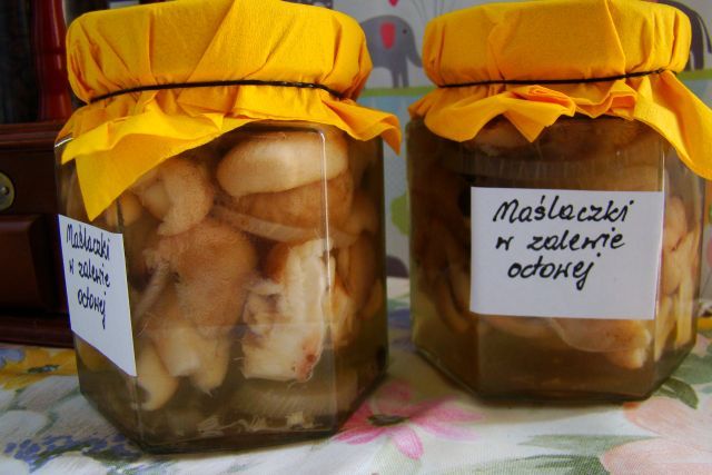 Maślaczki w zalewie - domowa spiżarnia Maślaczki w zalewie - domowa spiżarnia