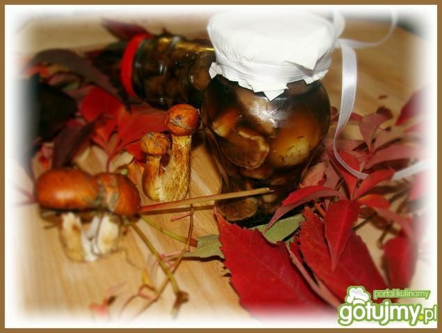 Maślaczki w zalewie z octem balsamicznym Maślaczki w zalewie z octem balsamicznym