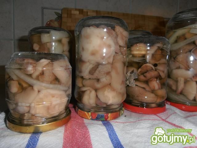 Maślaczki z cebulką w zalewie octowej