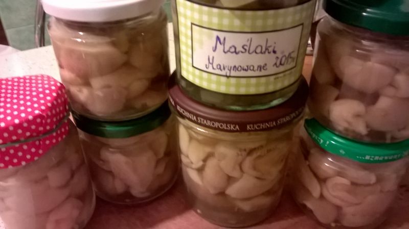 Maślaki marynowane Maślaki marynowane
