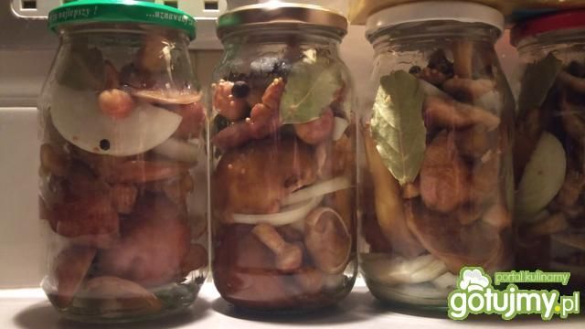 Maślaki marynowane Maślaki marynowane