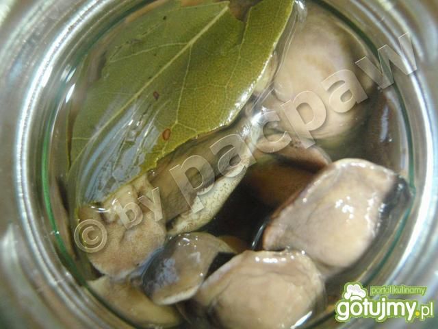 Maślaki marynowane aromatyczne