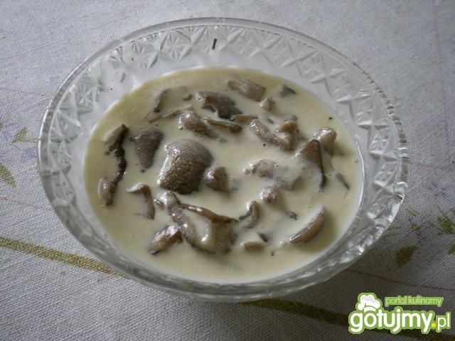 Maślaki w sosie śmietanowym