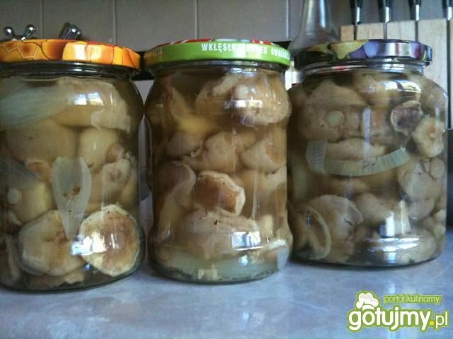 Maślaki w zalewie Maślaki w zalewie