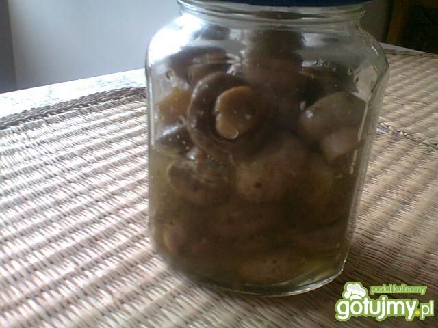 Mielone z pieczarkami i serem Mielone z pieczarkami i serem