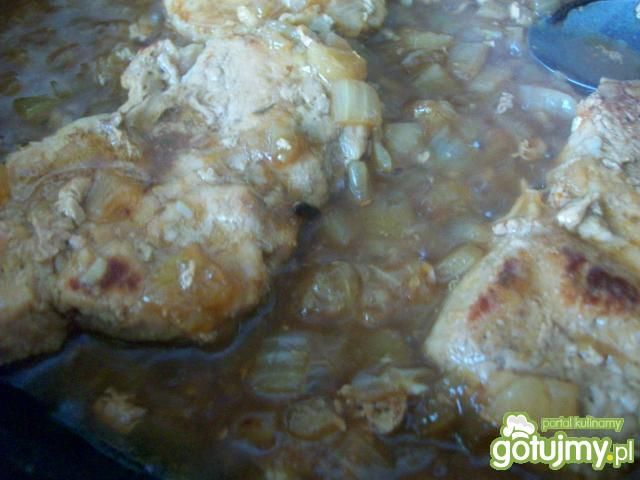 Mięso w sosie cebulowym 5 Mięso w sosie cebulowym 5