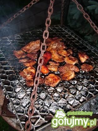 Mięso z grilla Mięso z grilla