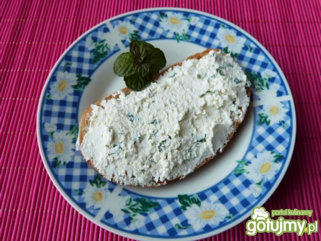 Miętowa pasta twarogowa do kanapek Miętowa pasta twarogowa do kanapek