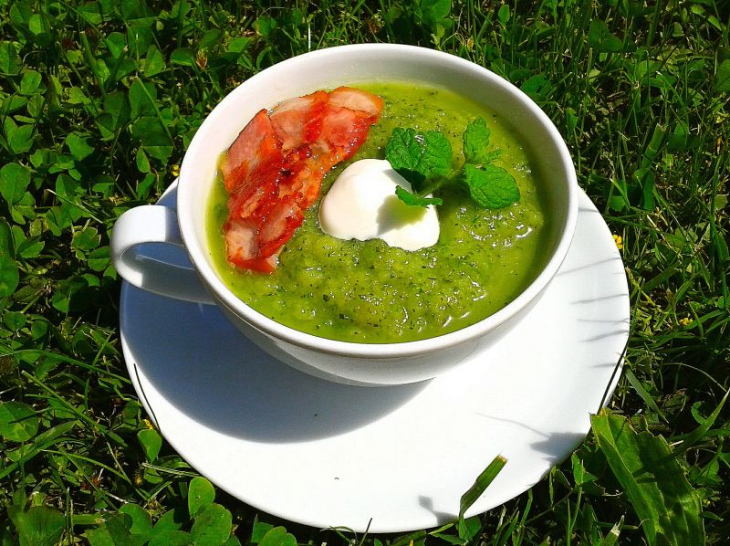 Miętowy mus cukiniowo-ogórkowy z chipsem z boczku Miętowy mus cukiniowo-ogórkowy z chipsem z boczku