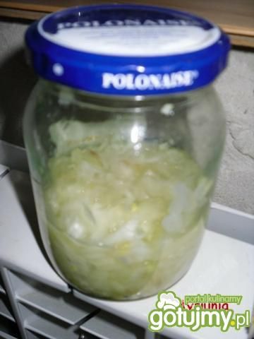 Mikstura na przeziebienie  Mikstura na przeziebienie