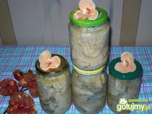 Mintaj w zalewie Mintaj w zalewie