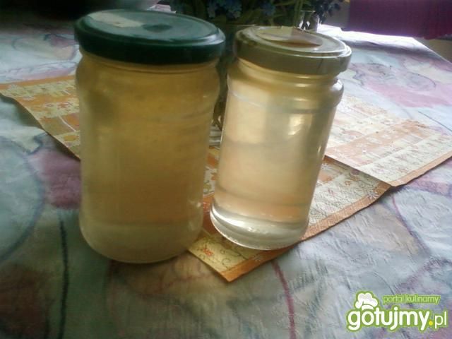 Miód z mniszka lekarskiego Miód z mniszka lekarskiego