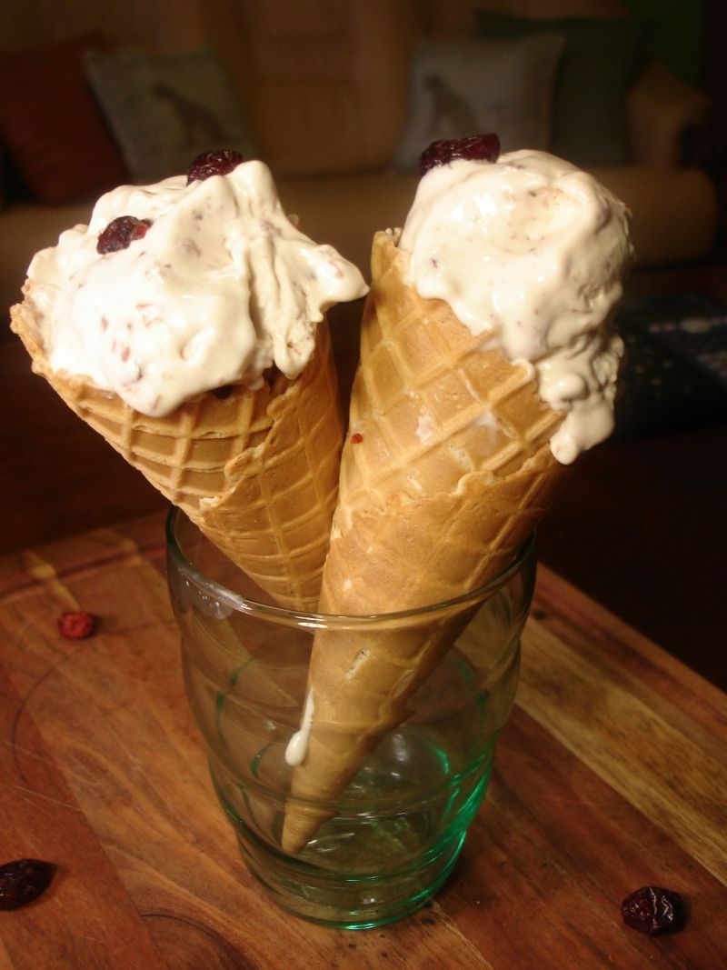 Miodowe lody żurawinowe Miodowe lody żurawinowe