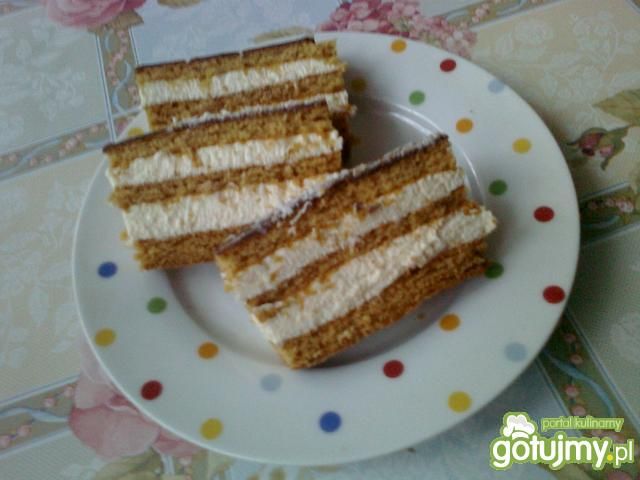 Miodownik budyniowy Miodownik budyniowy