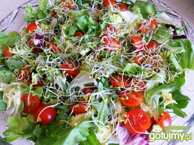 Mix sałat z pomidorkami i kiełkami Mix sałat z pomidorkami i kiełkami