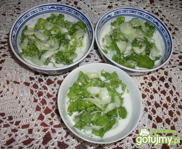 Mizeria ogórkowo- sałatkowa Mizeria ogórkowo- sałatkowa