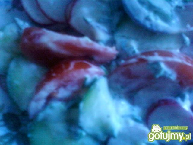 Mizeria z dodatkiem pomidora, rzodkiewki