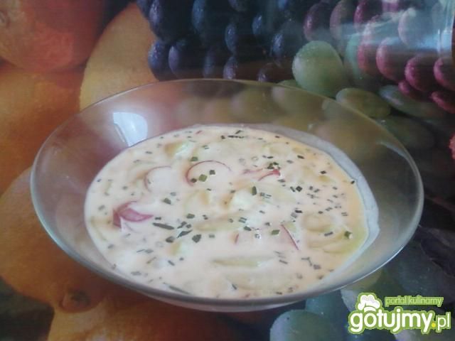 Mizeria z rzodkiewką. Mizeria z rzodkiewką.