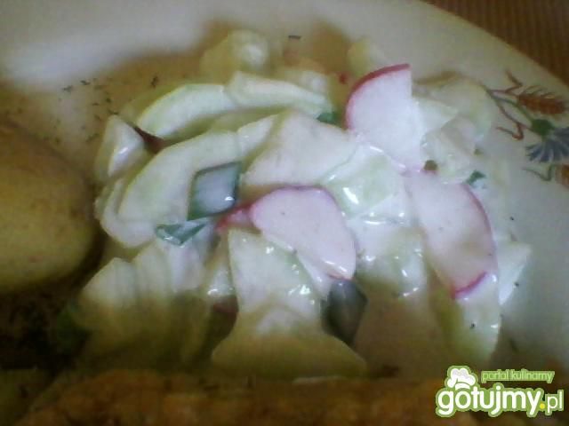 Mizeria z rzodkiewką i ogórkiem