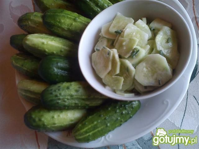 Mizeria ze szczypiorkiem wg Triss Mizeria ze szczypiorkiem wg Triss