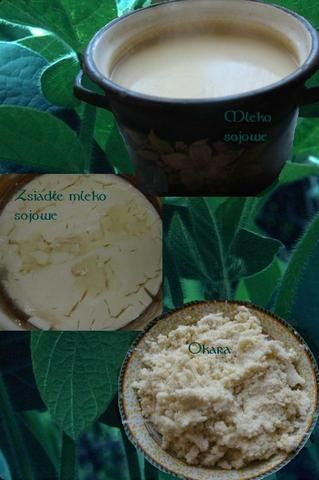Mleko sojowe lub zsiadłe sojowe i okara