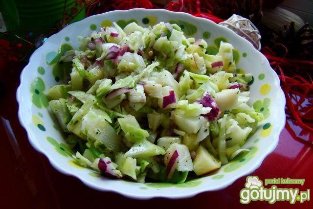 Młoda kapusta z czerwoną cebulą 