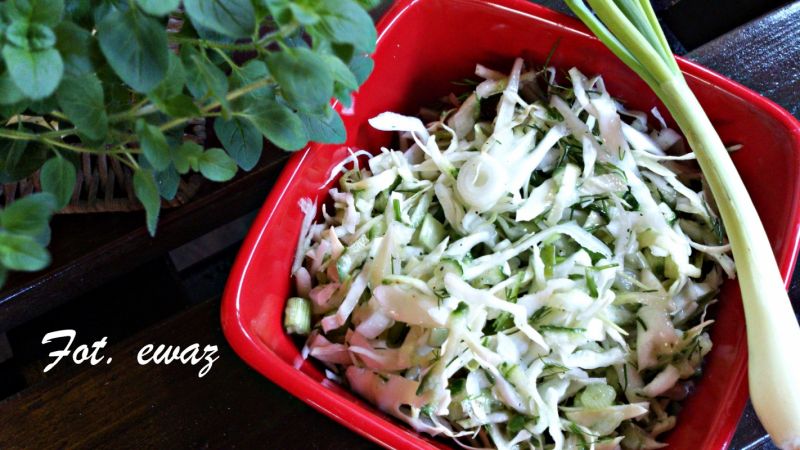 Młoda kapusta z dymką i ogórkiem