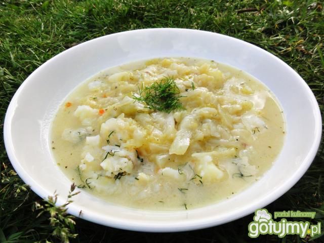 Młoda kapustka z koperkiem Młoda kapustka z koperkiem