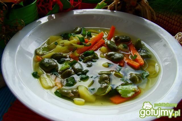 Młoda zupa z bobem  Młoda zupa z bobem