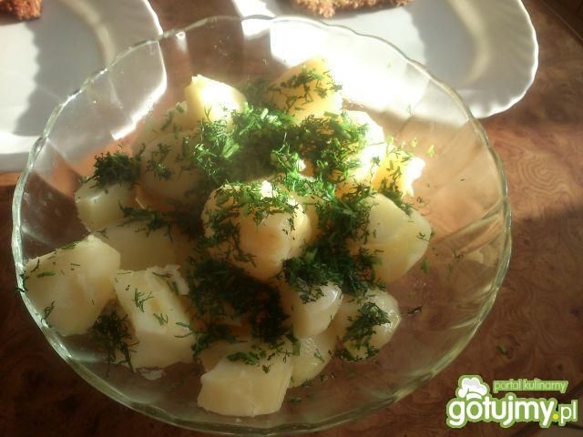 Młode grulki Mariel Młode grulki Mariel