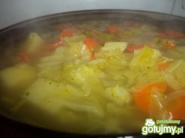 Młody kapuśniaczek 3