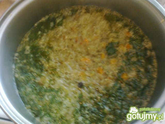 Młody kapuśniaczek Młody kapuśniaczek