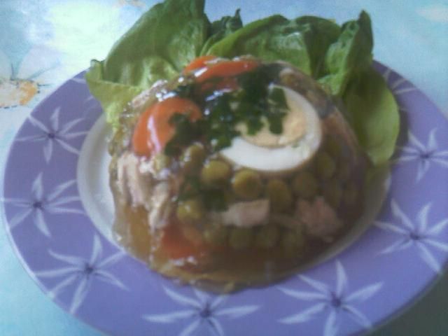 Mój łatwy galacik drobiowy Mój łatwy galacik drobiowy