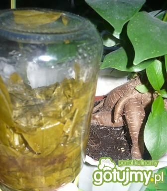 Mój przepis na szaczw na zimę do słoików