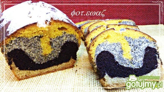 Moja babka Tulipan Moja babka Tulipan