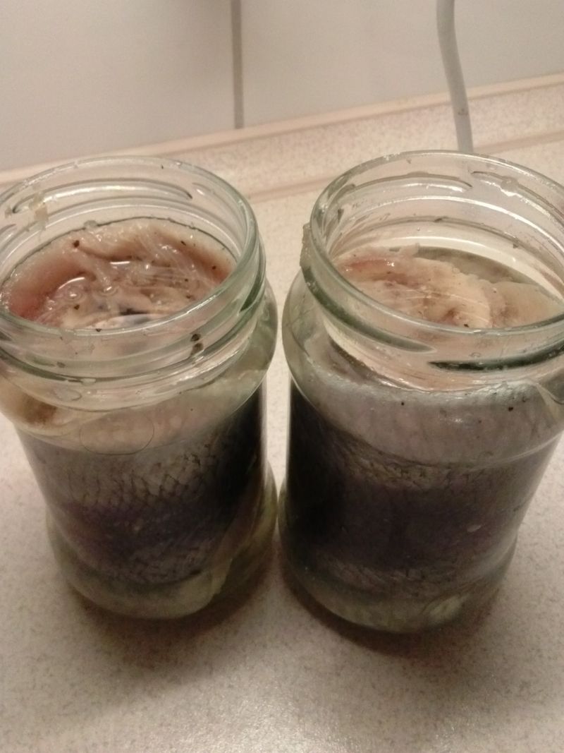 Moja konserwa rybna z filetami ze śledzia Moja konserwa rybna z filetami ze śledzia