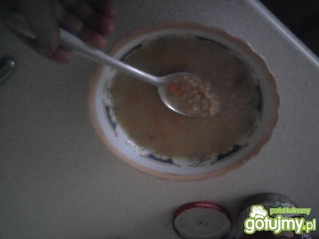 moja pierwsza zupa krupnik moja pierwsza zupa krupnik