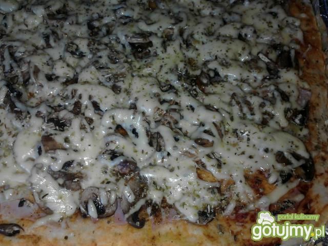 Moja pizza