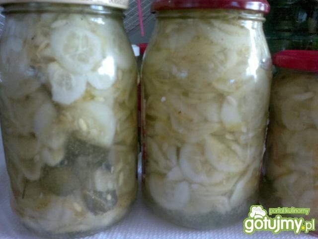 moja sałatka z ogórków na zimę