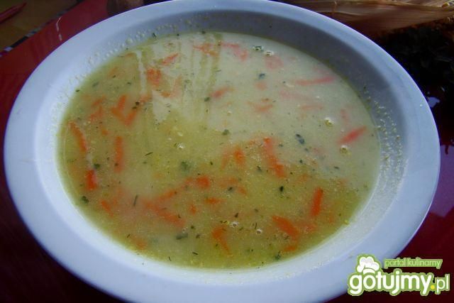 Moja ( tzn. Iwy ) zupka brokułowa 