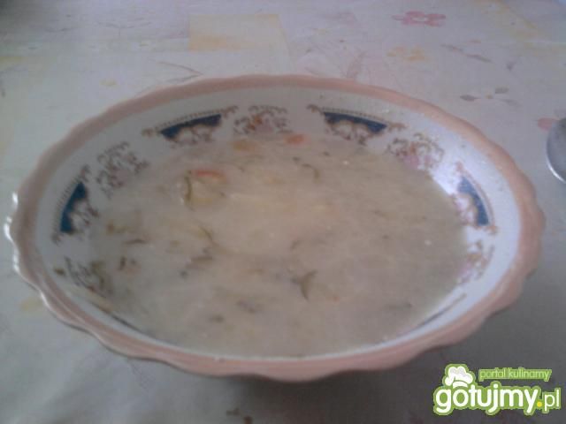 Moja własna domowa-zupa ogórkowa