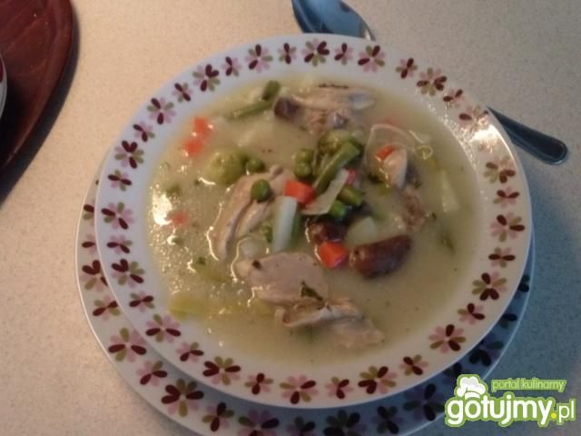 Moja zupa jarzynowa z wkładką