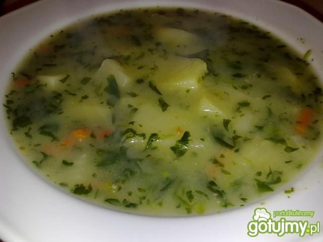 Moja zupa szpinakowa