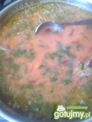Moja zupa wiosenna- botwinka 