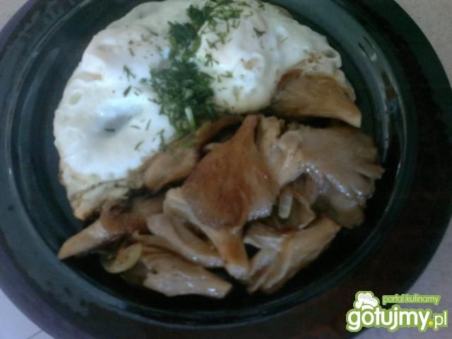 moje boczniaki z jajkiem sadzonym moje boczniaki z jajkiem sadzonym