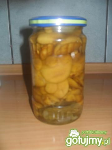 Moje marynowane grzybki Moje marynowane grzybki